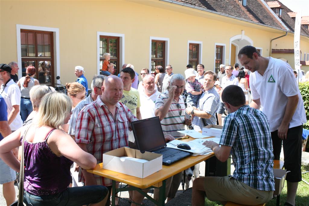 2011-07-10 13. Oldtimertreffen in Pinkafeld